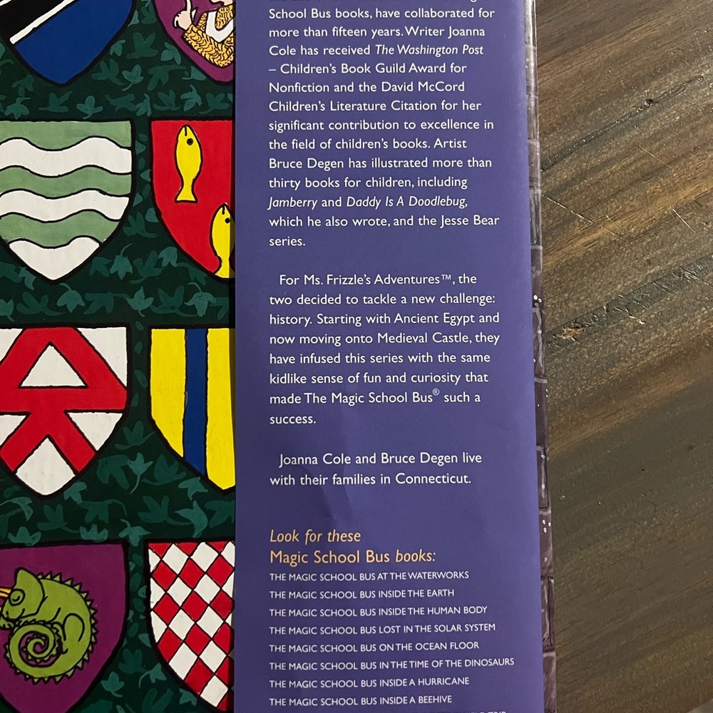 Colorful Medieval Shield Pattern Book - Picture 4 of 7